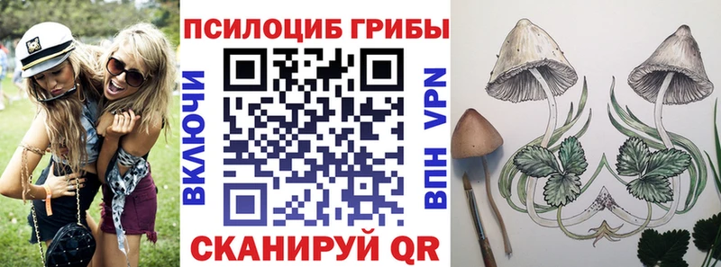 Псилоцибиновые грибы Magic Shrooms  цена наркотик  Кизилюрт 