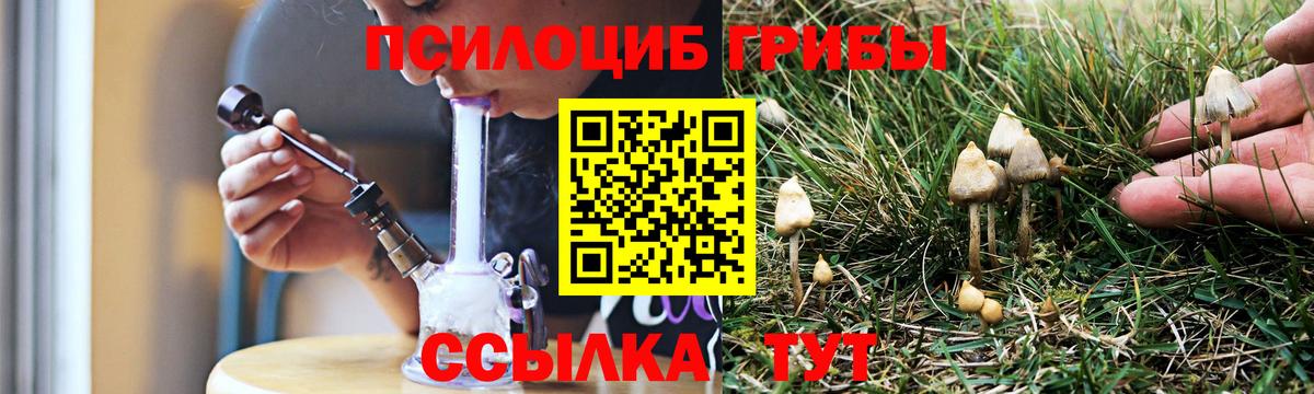Псилоцибиновые грибы прущие грибы  Вход с VPN  Кизилюрт 